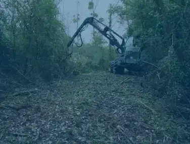 travaux forestier Châteauroux-5
