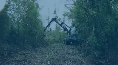 travaux forestier Contres-3