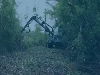 travaux forestier Romorantin-Lanthenay-5