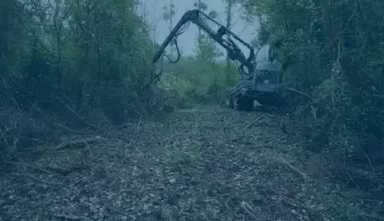 travaux forestier Selles-sur-Cher-4